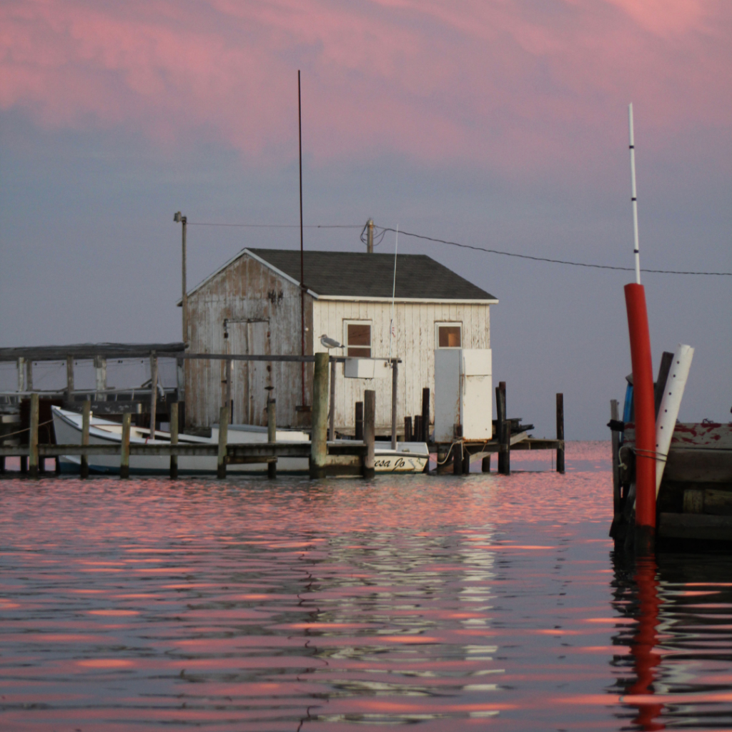 Tangier Island Things To Do