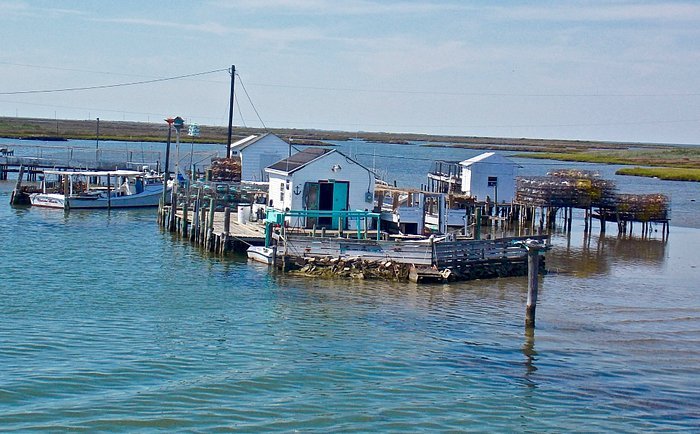 Tangier Island Things To Do