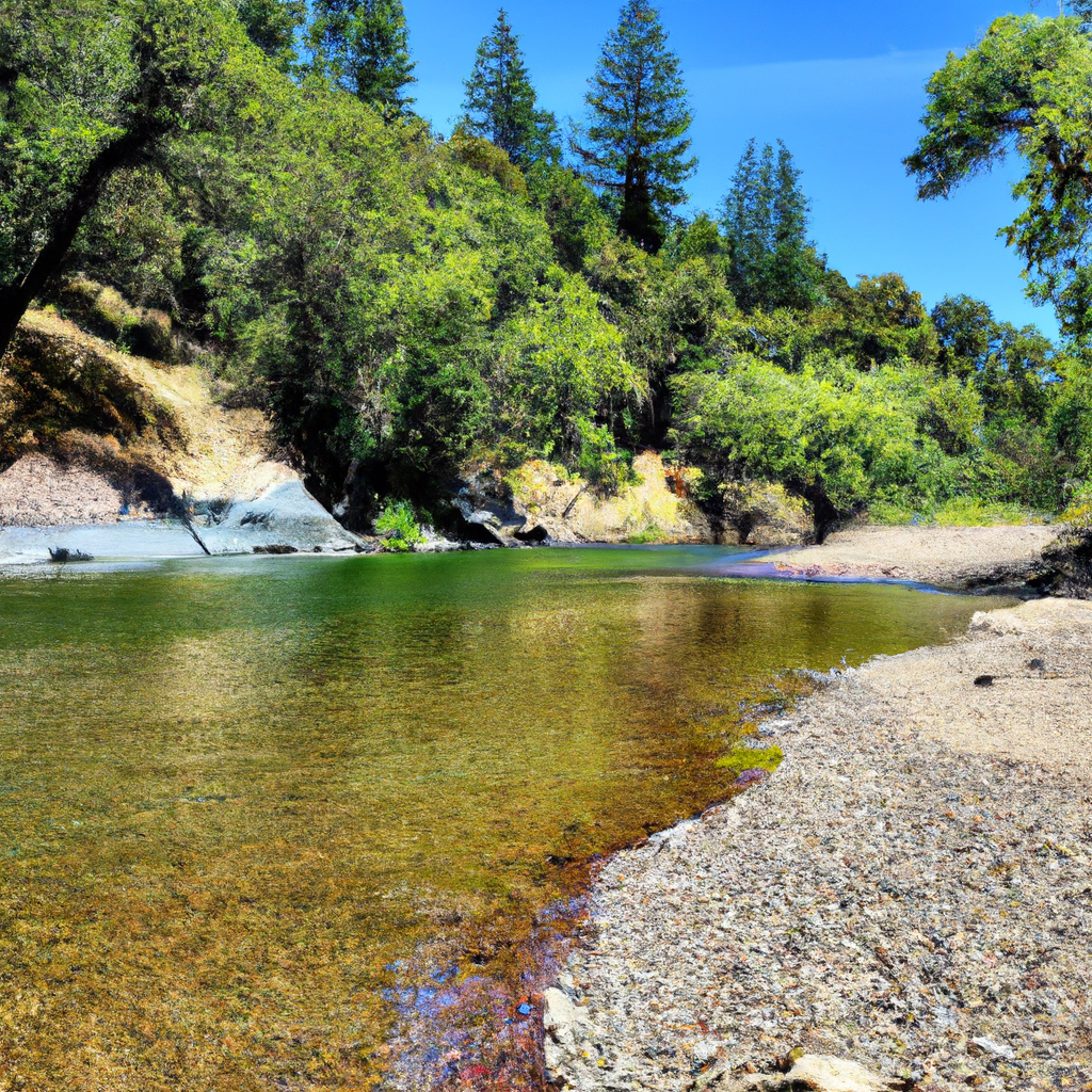 Things To Do At A River